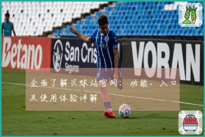 全面了解买球站官网：功能、入口及使用体验详解