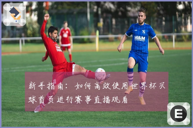 新手指南：如何高效使用世界杯买球首页进行赛事直播观看