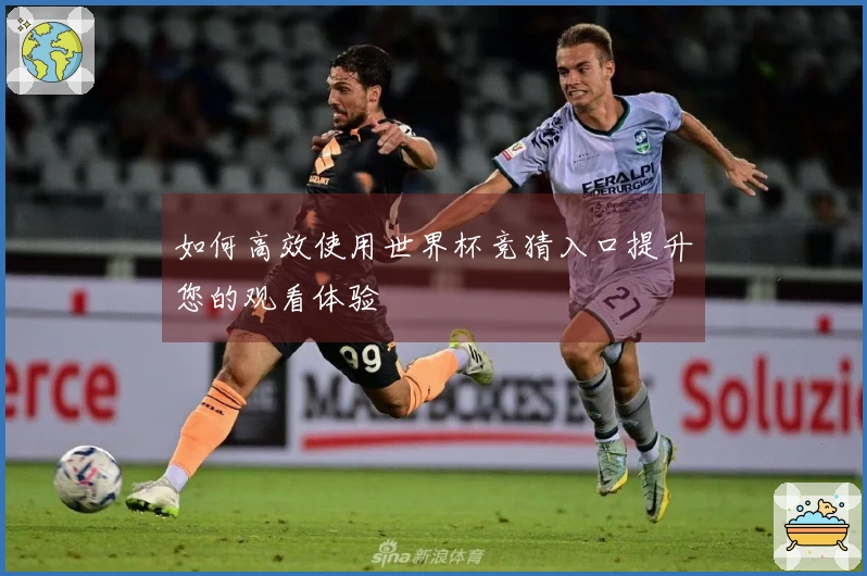 如何高效使用世界杯竞猜入口提升您的观看体验