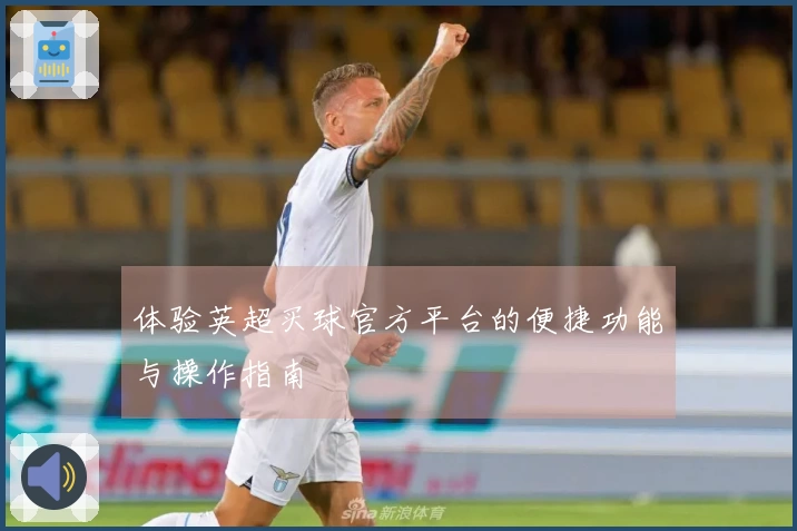 体验英超买球官方平台的便捷功能与操作指南