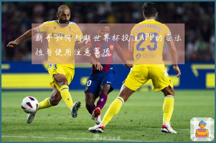 新手如何判断世界杯投注APP的合法性与使用注意事项