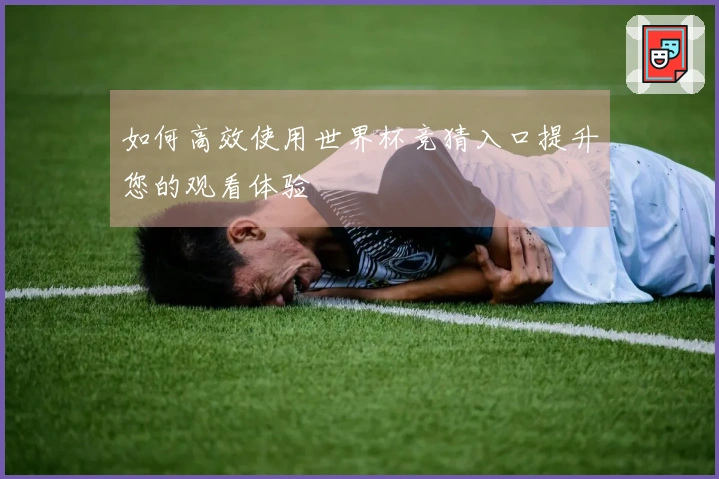 如何高效使用世界杯竞猜入口提升您的观看体验