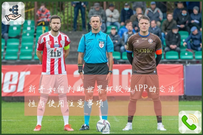 新手如何判断世界杯投注APP的合法性与使用注意事项