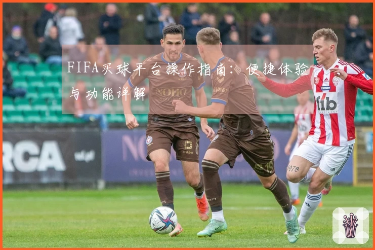 FIFA买球平台操作指南:便捷体验与功能详解