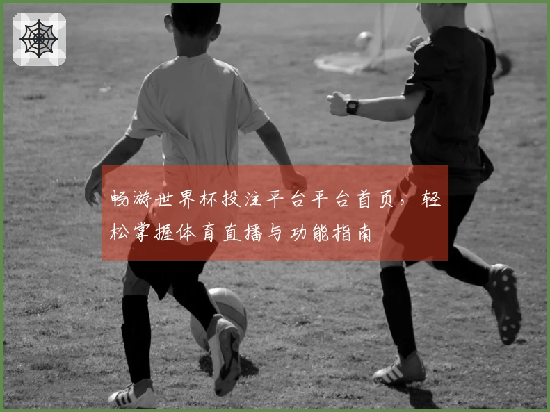 畅游世界杯投注平台平台首页，轻松掌握体育直播与功能指南