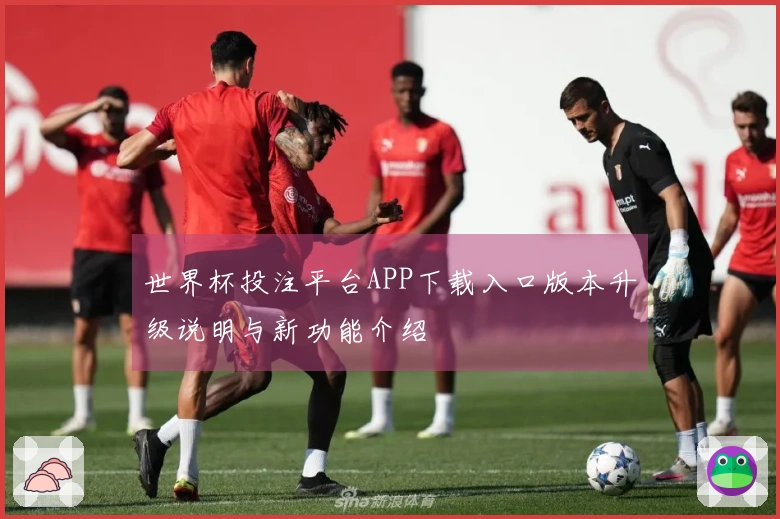 世界杯投注平台APP下载入口版本升级说明与新功能介绍