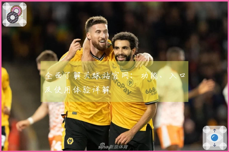 全面了解买球站官网：功能、入口及使用体验详解